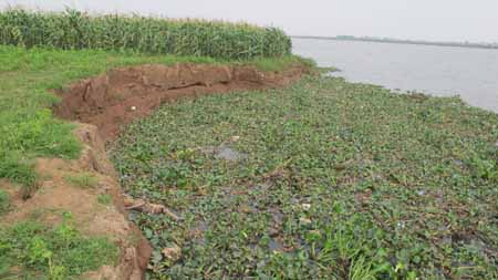 Xử lý khai thác cát trái phép ở xã Hà Thanh (Tứ Kỳ, Hải Dương):  Đừng để 