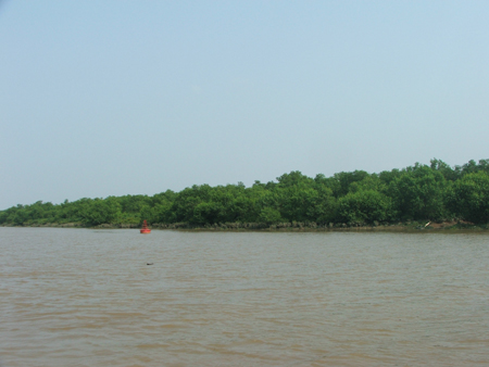 Hưởng ứng Tết Trồng cây đời đời nhớ ơn Bác Hồ: “Tấm khiên xanh” ven biển