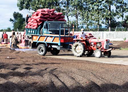 Hồi sinh những “vùng đất chết”