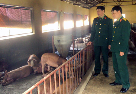 Không ngừng nâng cao chất lượng bữa ăn cho bộ đội