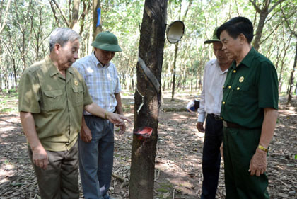 Làm giàu trên đất chiến khu xưa