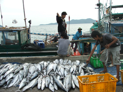 Bài 3: Thủy sản - Phát triển chưa xứng với tiềm năng