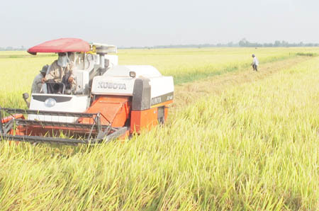 Tăng cường liên kết,  nhân rộng mô hình