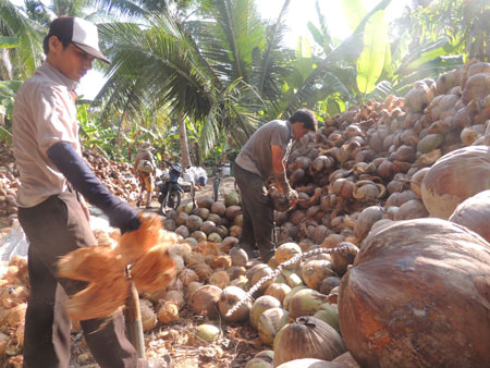 Hiệu quả từ mô hình 