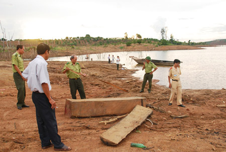 Phát hiện “dòng sông gỗ” ở Gia Lai