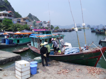 Quản lý tốt để làm giàu từ biển