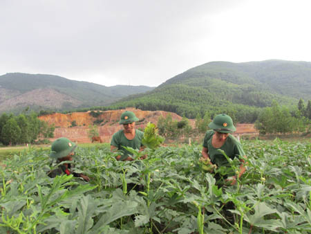 “Vị xuân” trên đỉnh Vũng Chua