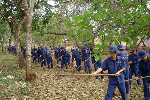 TP Hồ Chí Minh: Quyết tâm giúp người nghiện hoàn lương