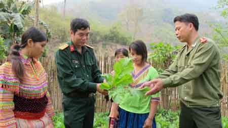 Hỗ trợ phát triển sản xuất cho các xã đặc biệt khó khăn 