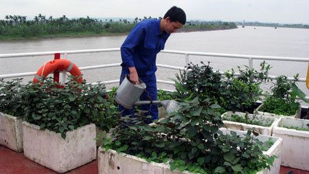 Những “vườn rau di động trên biển”