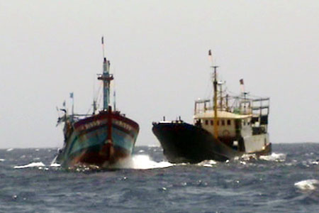 Trở về từ Hoàng Sa