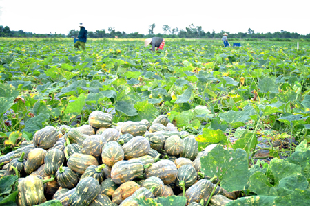 Tất cả hộ nghèo được tiếp cận chính sách tín dụng