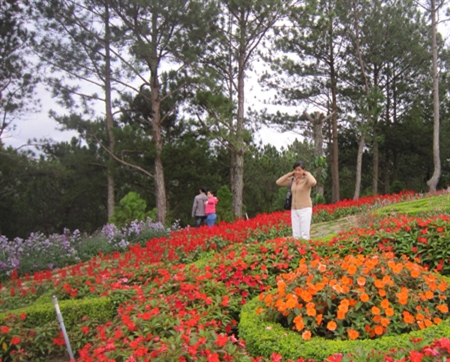 Festival hoa Đà Lạt sẽ diễn ra từ 29-12