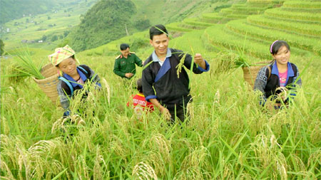 Tiếng khèn Mông gọi mùa no ấm