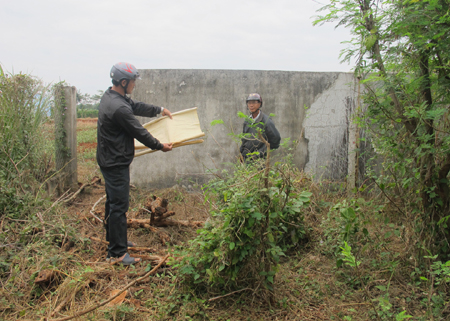 Xử lý nghiêm hành vi lấn chiếm đất công ở xã Cư Êbur 