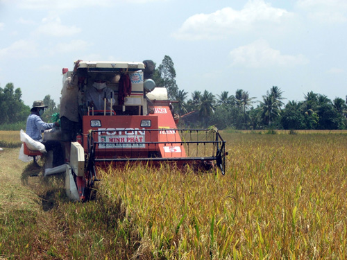 Gỡ khó giúp nông dân tiêu thụ lúa gạo