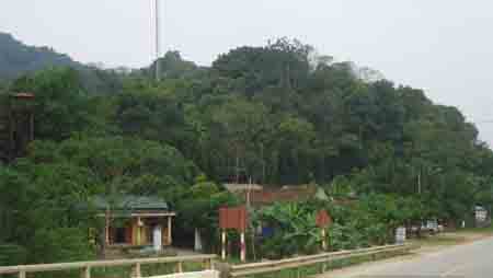 Những hành vi vi phạm phải được nghiêm trị