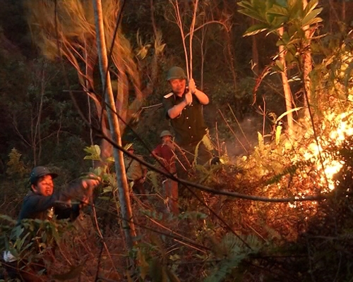 LLVT tỉnh Thanh Hóa: Hơn 10 giờ chiến đấu với giặc lửa