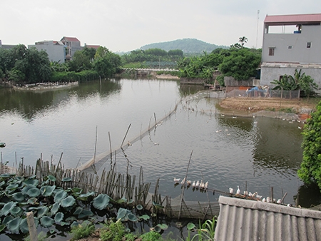 Nhập nhằng hợp đồng, ngậm ngùi đặt cọc