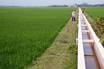 Phát triển nông thôn bền vững