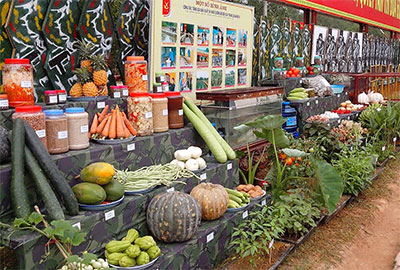 Kiểm tra toàn diện công tác bảo đảm hậu cần của Sư đoàn 325