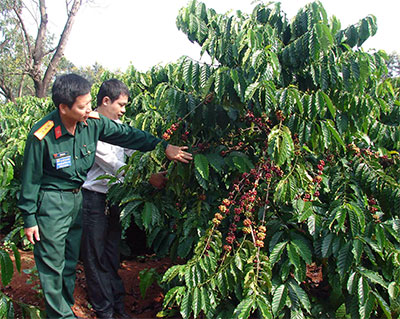 Những căn nhà mới của công nhân 715 trên vùng biên giới