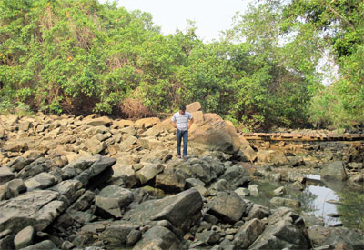 Hệ lụy thủy điện ở Tây Nguyên