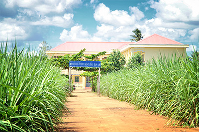 Giáo viên vùng bãi ngang “mỏi cổ” chờ phụ cấp