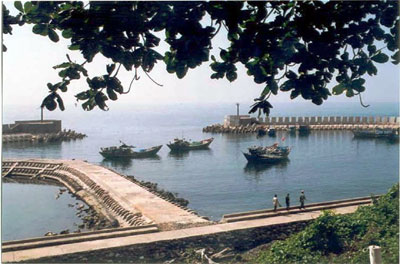 Rất cần sự tham gia của cộng đồng