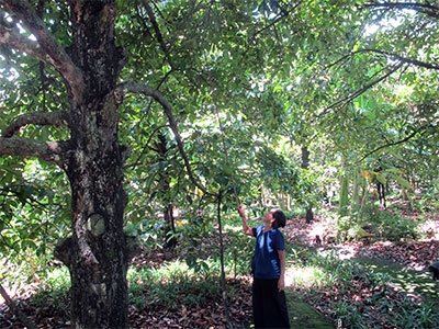 Ứng dụng tiến bộ khoa học vào sản xuất nông nghiệp