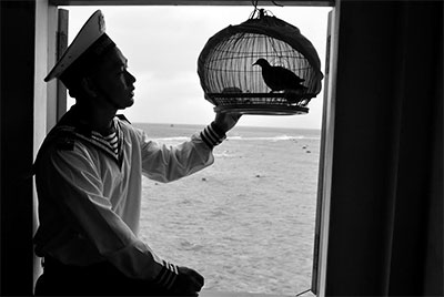 Dặm dài thương nhớ!