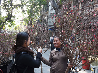 Sắc Xuân Hà Thành