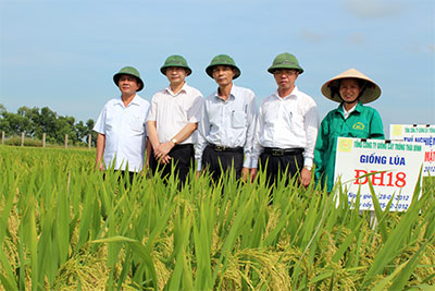 Bài 3: Cần một cuộc “tái cơ cấu” từ cánh đồng (Tiếp theo và hết)