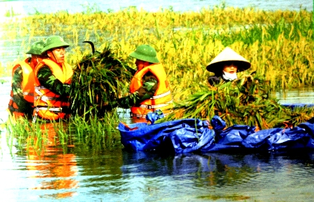 100% cán bộ huấn luyện được theo phân cấp
