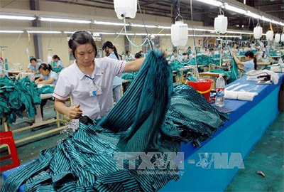 Doanh nghiệp Việt Nam - Thuyền nhỏ vượt sóng lớn