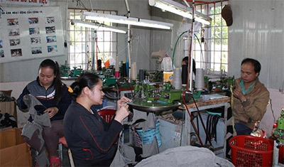 Ánh nắng mai của những phận đời bất hạnh