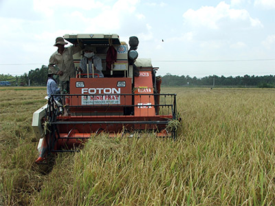 Ngành trồng trọt tái cơ cấu: Chuyển từ lượng sang chất