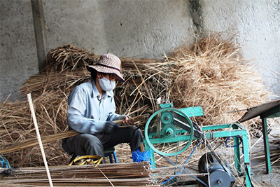 Về đâu, mành cọ Đoan Hùng?