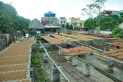 Ngào ngạt hương thôn Cao