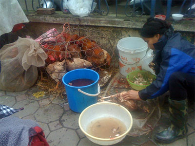 Phòng ngừa nguy cơ 