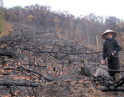 Thái Nguyên: Cháy rừng… “lộ” lỗ hổng quản lý?