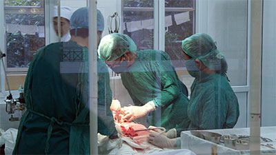 Bác sĩ trẻ về tiếp sức vùng cao