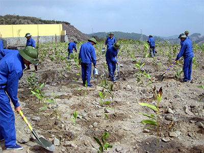 Trồng cây, gây rừng cho đất nước ngày thêm xanh
