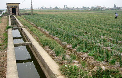 Thái Thụy vào Xuân