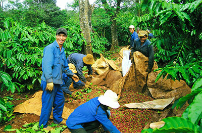 Gắn sản xuất kinh doanh với củng cố vững chắc địa bàn