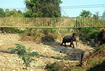 Nỗi lo Tây Nguyên mùa hạn