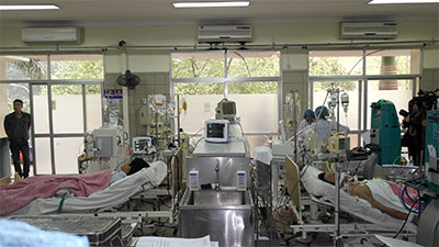 Không nên ăn nấm hoang dại 