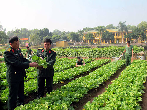 Rau, gà, cá, lợn “đợi” chiến sĩ mới