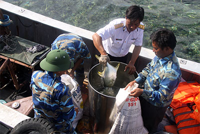 Ước nguyện chưa thành của người thợ lặn Trường Sa