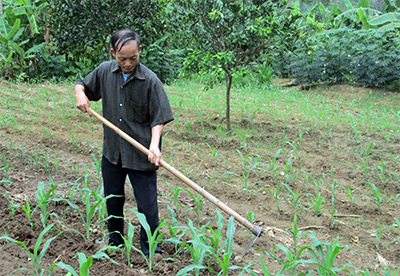 Đi lên từ gian khó